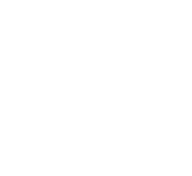 Animated icon